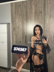 Транс Шымкента Транс№374367 Дует диких кошек Фотография №2902515
