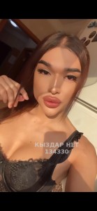 Транс Алматы Транс№134330 Доминика Фотография №3739285