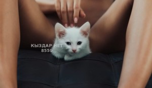 Проститутка Астаны Девушка№8559 L A R A искусница оральных ласк Фотография №3703547